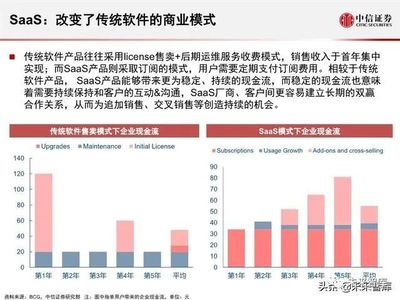 2020全球軟件SaaS云計算產業展望 軟件外包服務的轉型與機遇